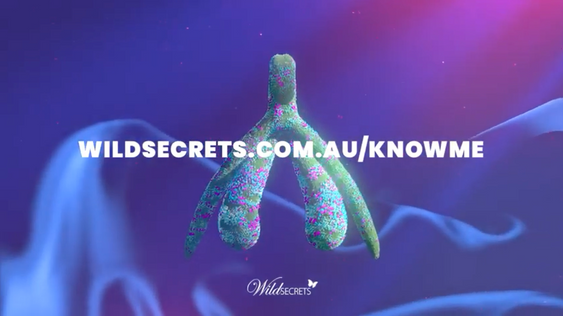 Wild Secrets - Get To Know Me